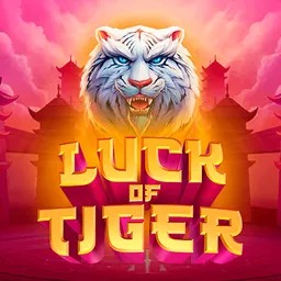 Luck of Tiger: Bonus Combo